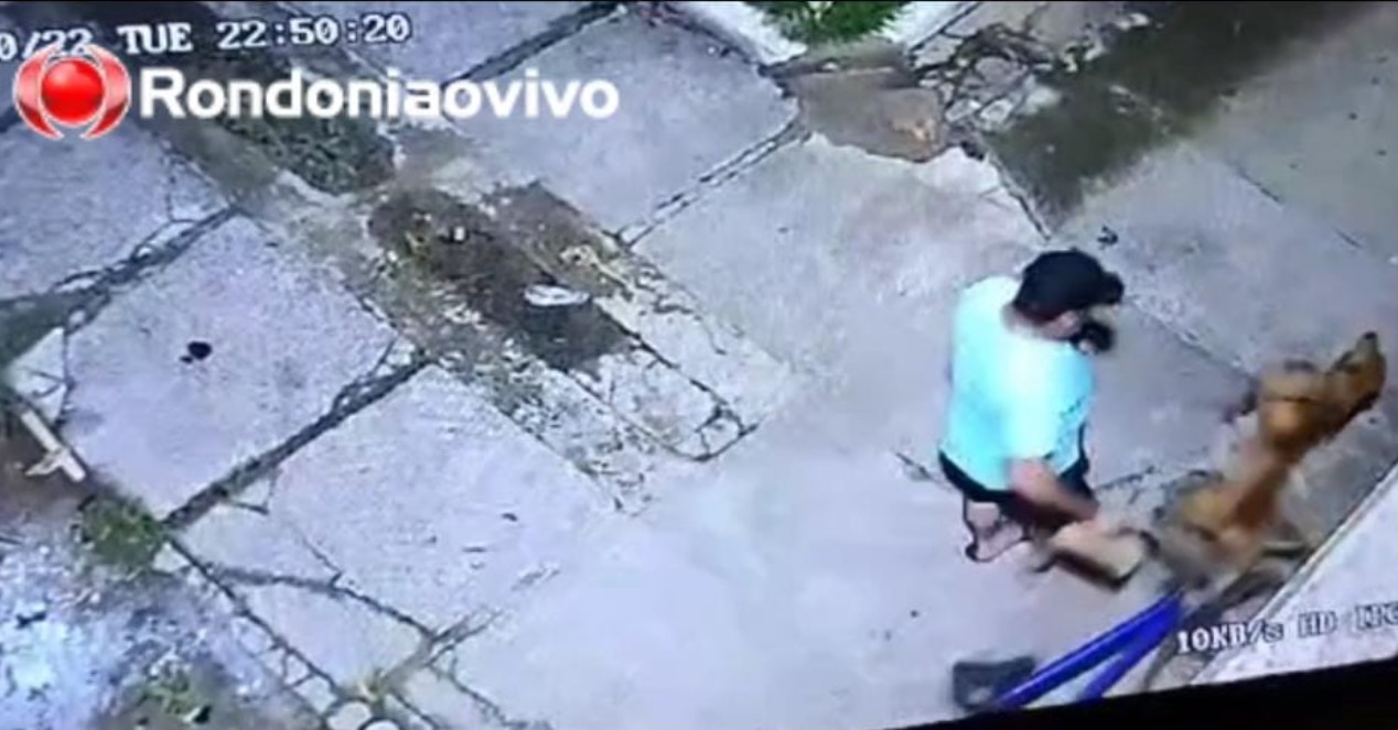 SEM FOCINHEIRA: Pitbull ataca cachorrinho na frente de tutor mesmo com guia - VÍDEO 