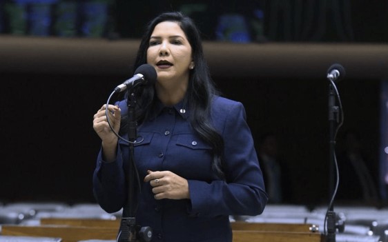 CRISTIANE LOPES: Deputada vota favorável ao Projeto de Lei 4497/2024