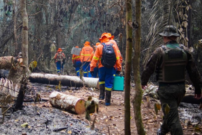 MEIO AMBIENTE: Governo intensifica combate às queimadas com educação ambiental e fiscalizações