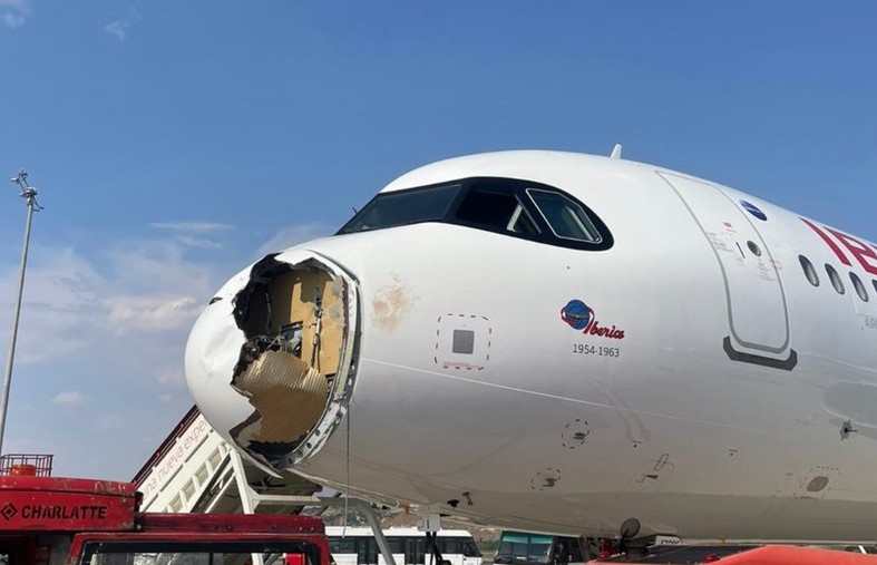 ACIDENTE: Avião bate em ave e precisa retornar ao aeroporto