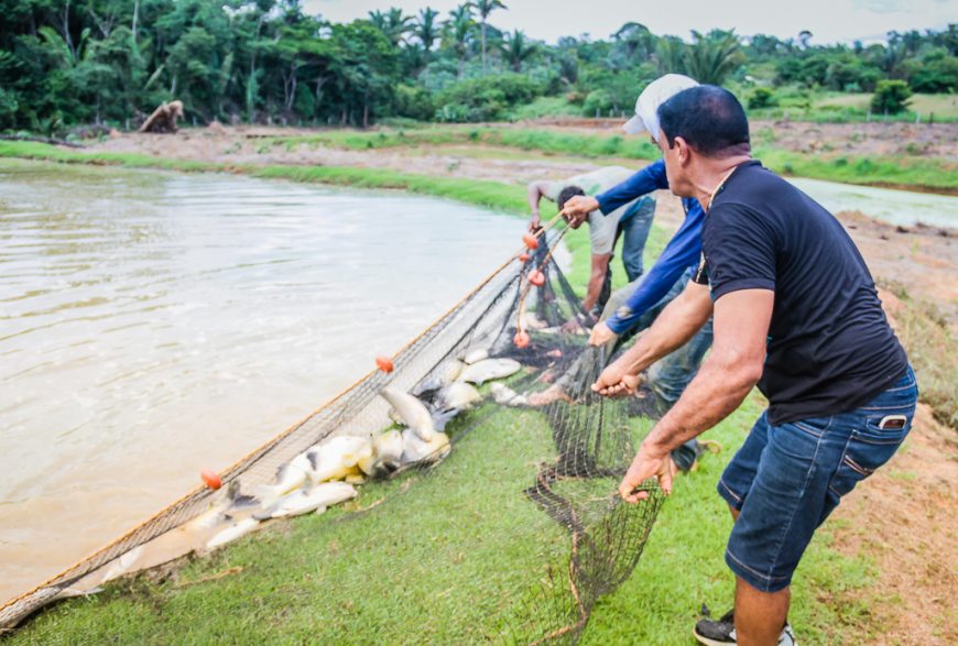 PESCA: Sedam alerta sobre fim do período do defeso em Rondônia