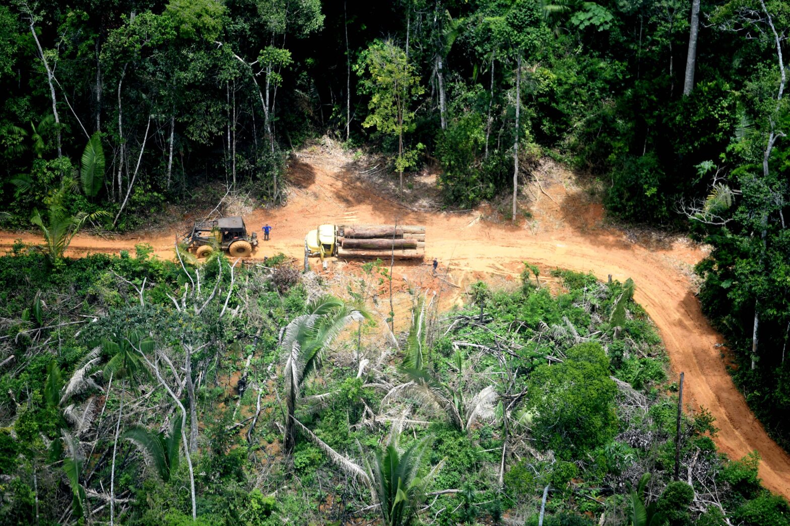 OPERAÇÃO: Exército deve retirar invasores de terra indígena em Rondônia