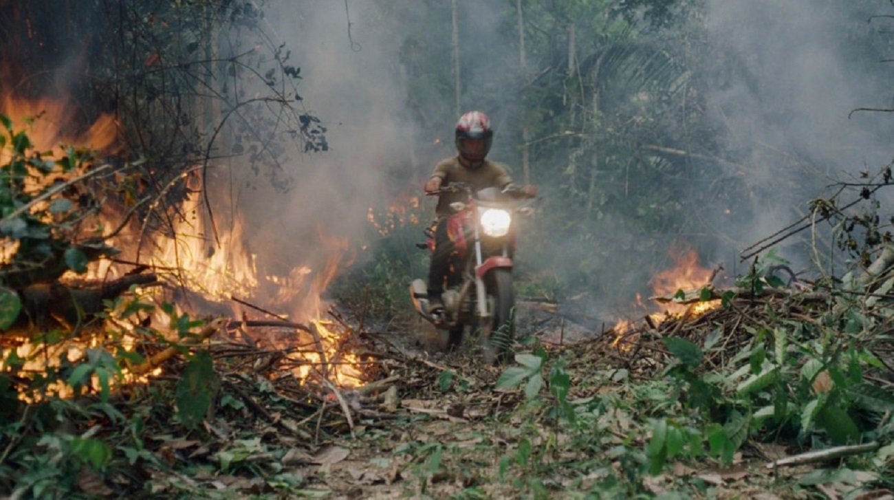 FESTIVAL SUNDANCE: Comoção internacional com ‘The Territory’, filme sobre a Amazônia