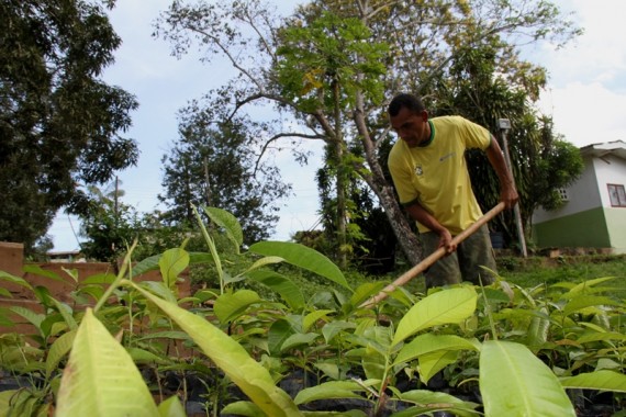 RECUPERAÇÃO: Agricultor terá apoio do governo para fazer regularização ambiental