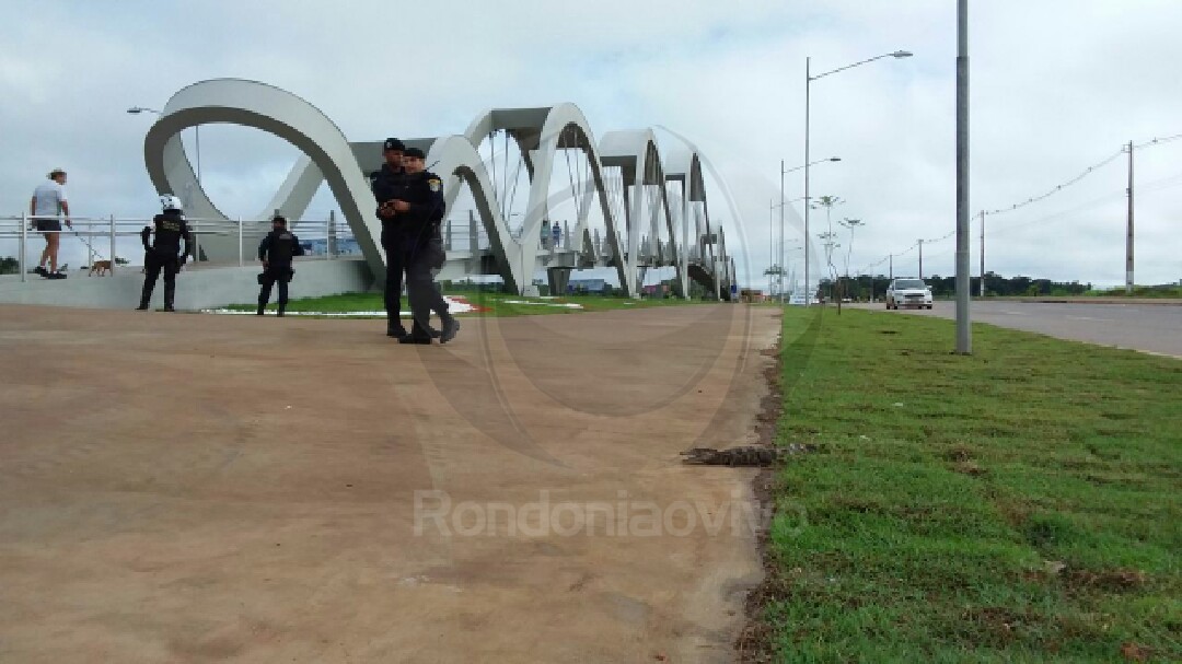 VEJA O VÍDEO: Mais um jacaré é encontrado no Espaço Alternativo