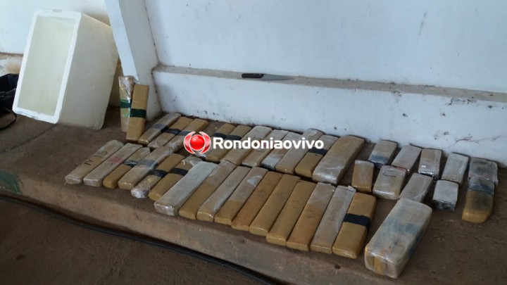 URGENTE: Denarc prende casal com 31 quilos de maconha na zona Sul de Porto Velho