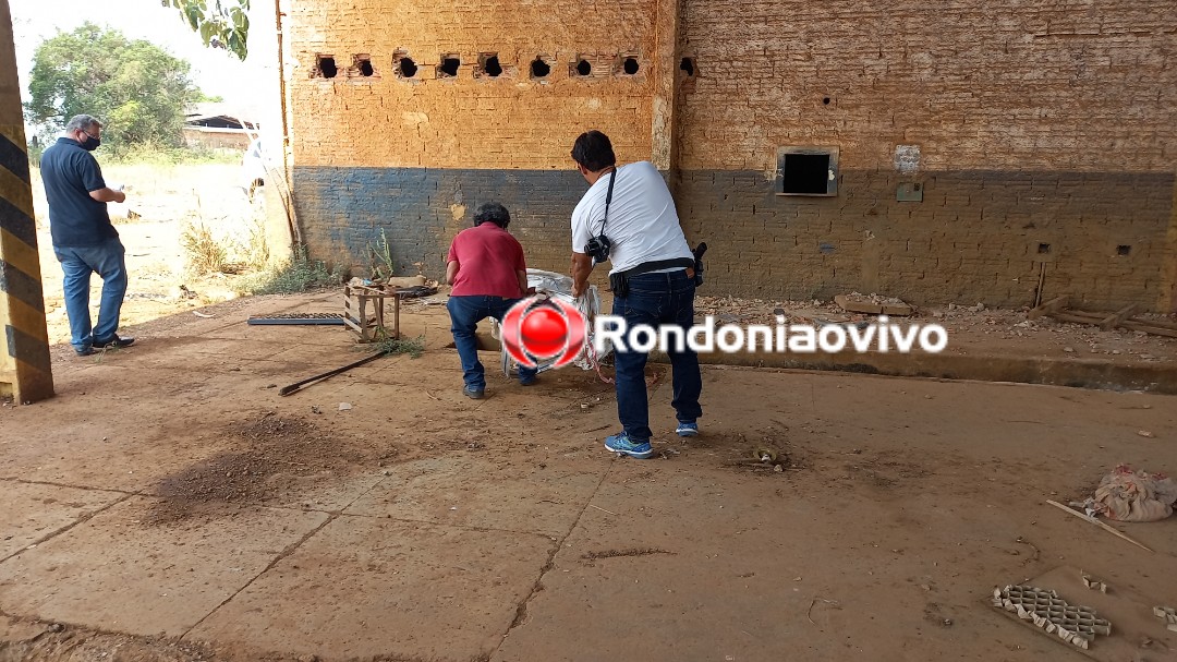 ASSISTA: Cadáver em decomposição é encontrado em terreno de antiga empresa de ônibus