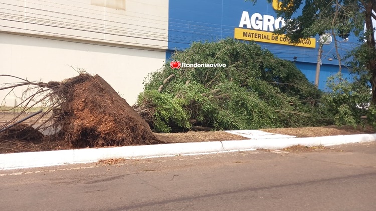 CONFIRA: Ventania causa destruição em vários pontos da cidade