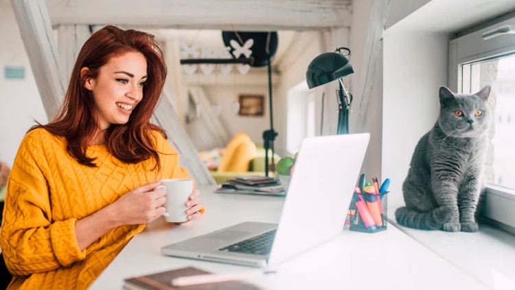 OPORTUNIDADE: Treinamento gratuito para você trabalhar em casa via internet