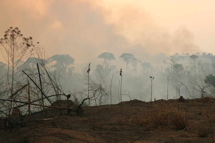 QUEDA: Queimadas diminuem em Rondônia, mas situação continua alarmante