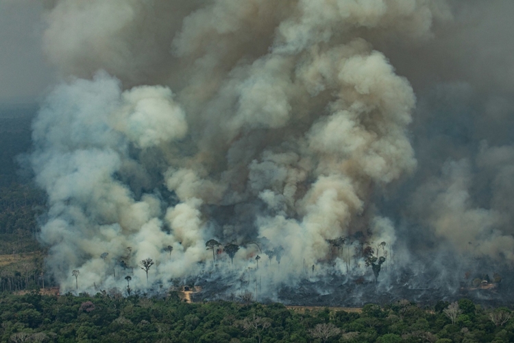 DESTRUIÇÃO: Unidades de Conservação de RO estão entre as 30 com mais focos de queimadas