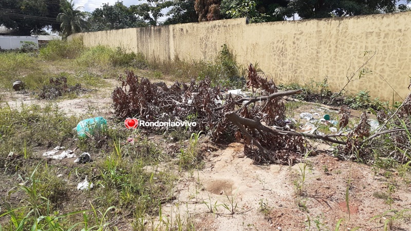 DESLEIXO: Porto Velho tem centenas de terrenos baldios com mato, lixo e entulhos