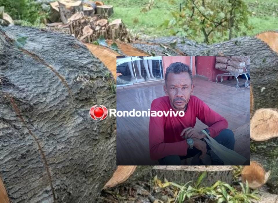TRÁGICO: Trabalhador morre e outro fica em estado grave após derrubada de árvore 