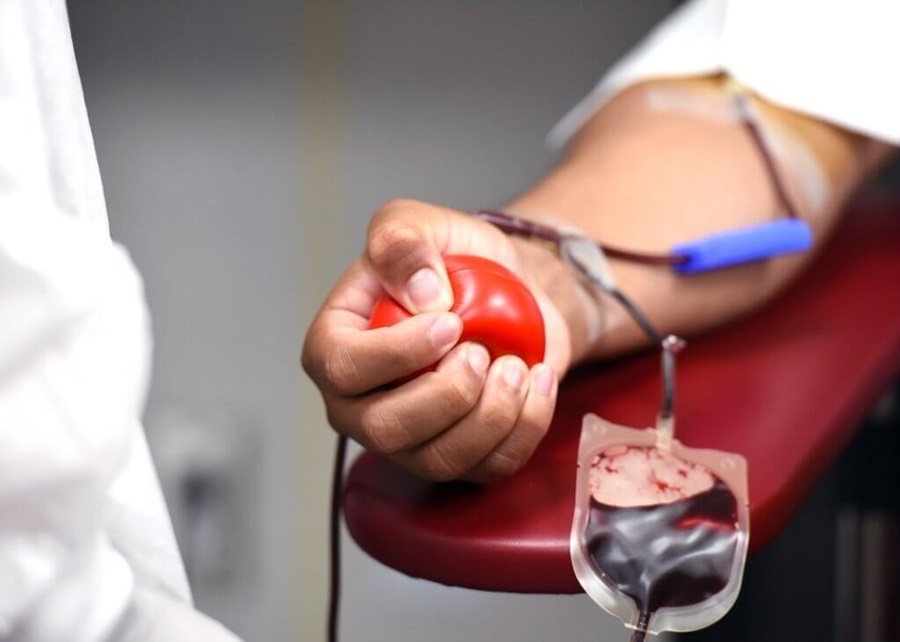 VIDA: Fhemeron está precisando de doações de sangue tipo O+ e O-