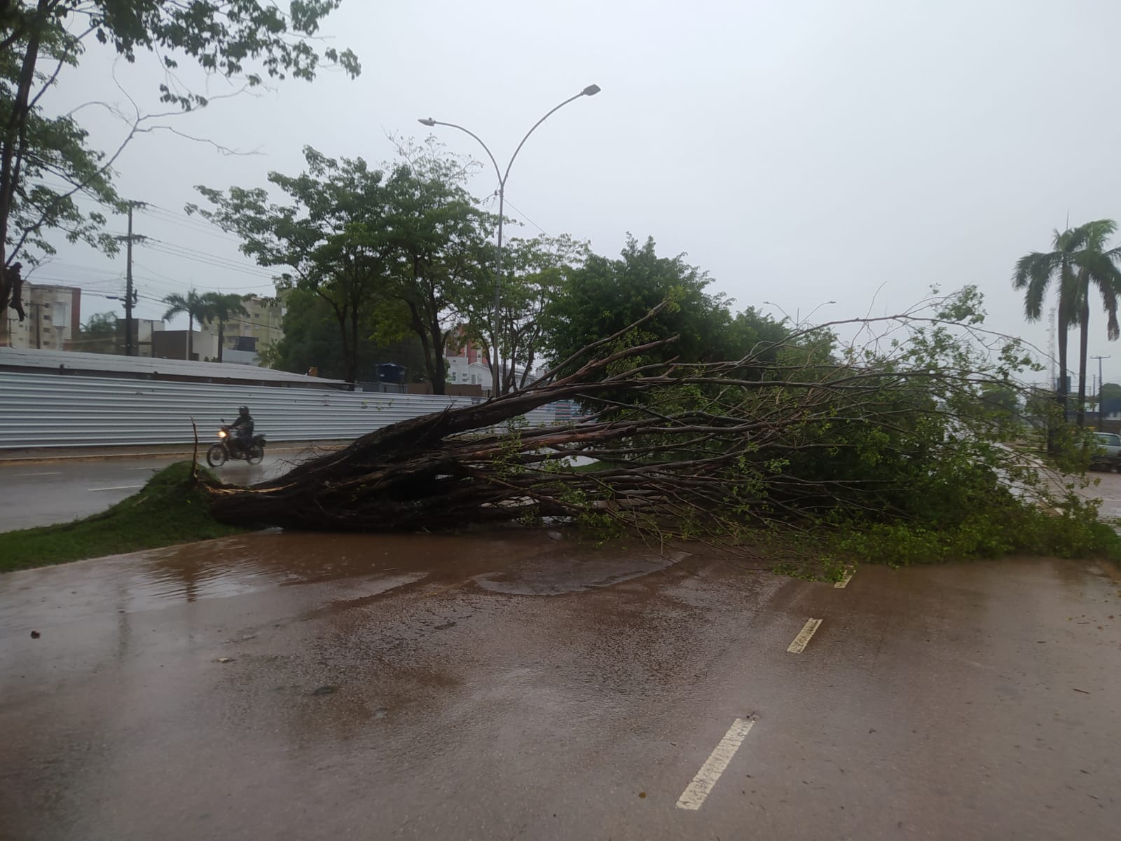 TEMPORAL: Chuva forte em Porto Velho transforma ruas em rios no domingo (16)