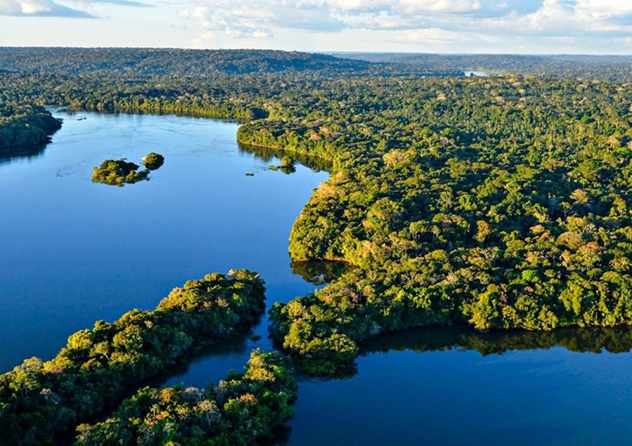 MEIO AMBIENTE: Supremo Tribunal Federal determina reativação do Fundo Amazônia