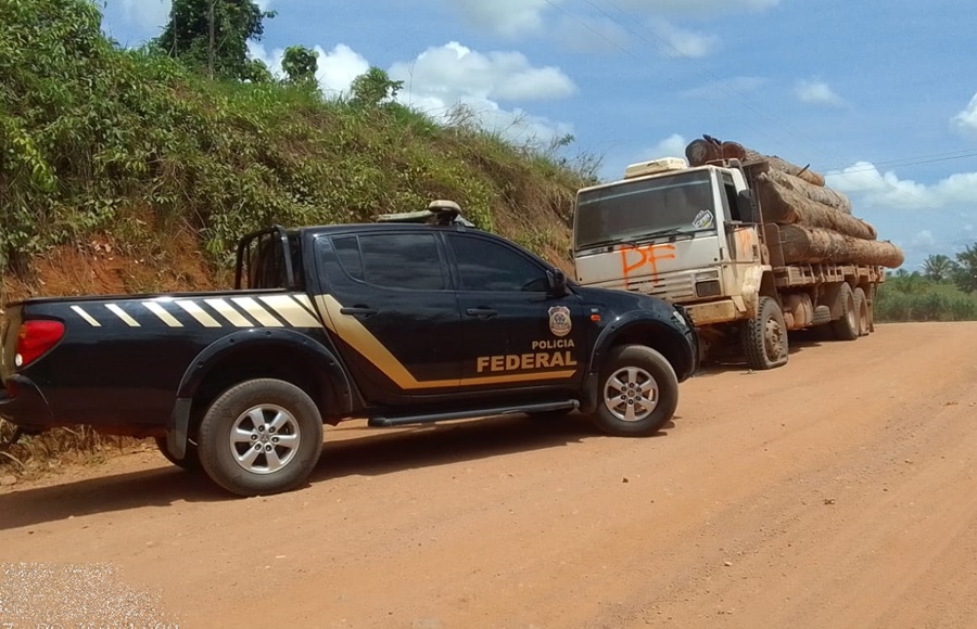 ILEGAL: PF prende motorista de caminhão com madeiras extraídas de terras indígenas