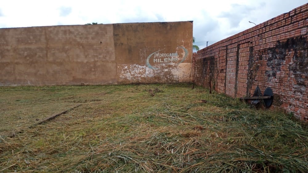 EDWILSON NEGREIROS: Vereador pede e Semusb limpa campo da Associação de Moradores do Tancredo Neves