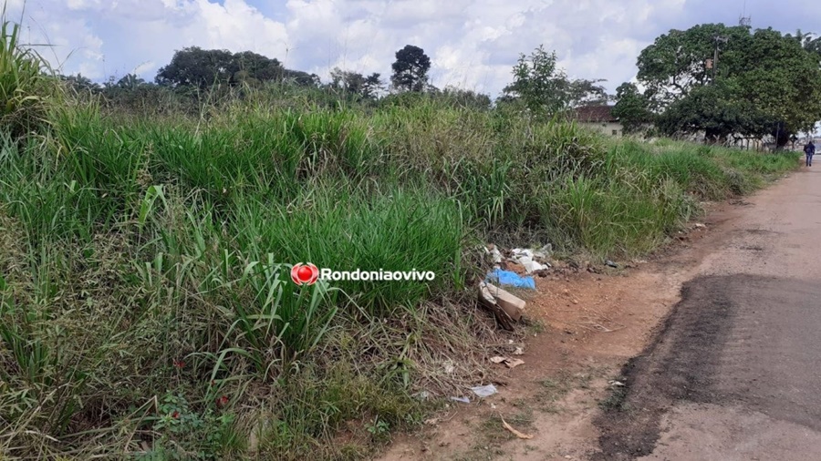 MATAGAL: Donos de terrenos abandonados serão notificados pela Prefeitura de Porto Velho