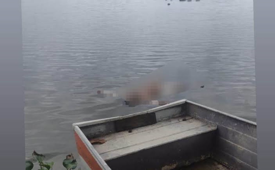 HOMICÍDIO: Homem é assassinado e corpo jogado no rio Preto