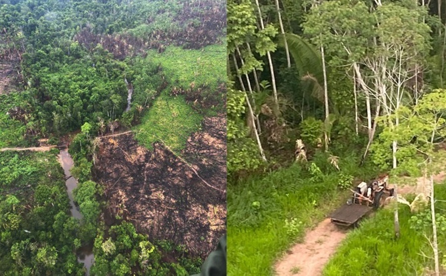 DESOCUPAÇÃO: MPRO e governo recorrem de decisão judicial sobre o Parque Estadual Guajará-Mirim