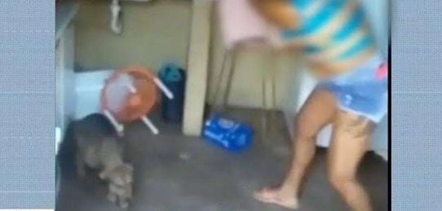 'DESTRUIU TUDO': Mulher é espancada pelo marido após voltar de bar e agredir cachorra