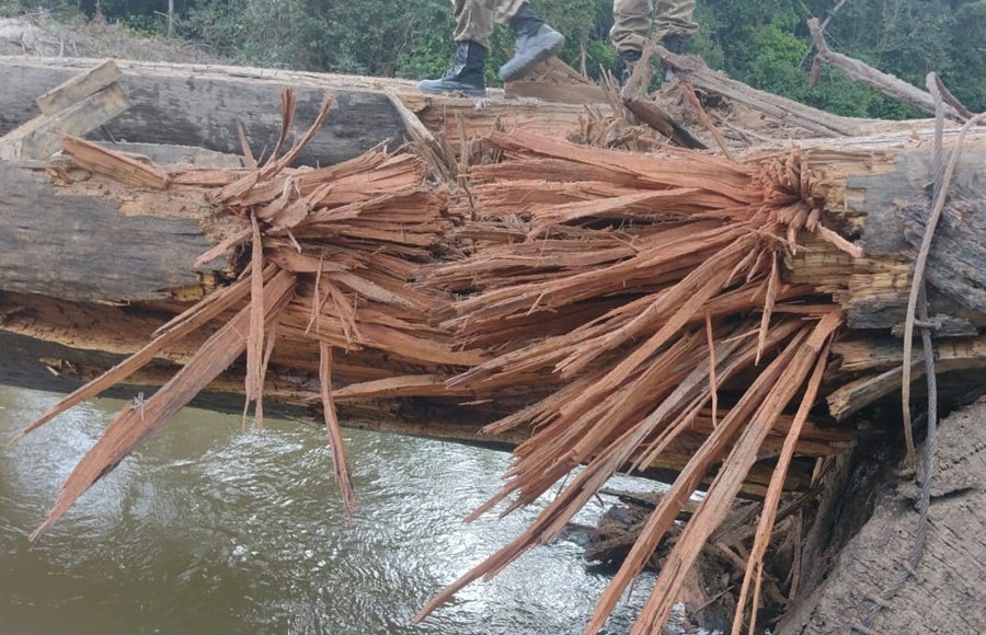IBAMA: PF deflagra operação ANHANGÁ para combater crimes ambientais em Rondônia