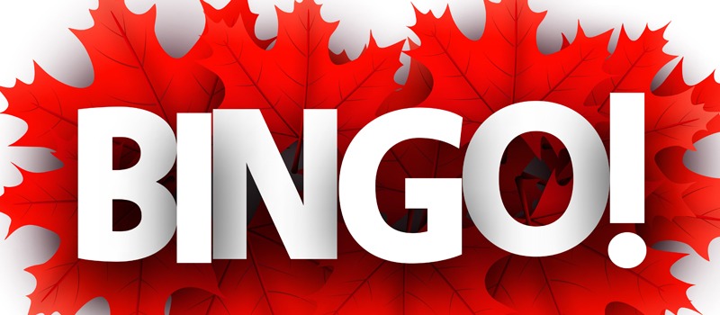 Bingo online com PIX: jogo de Bingo que paga via PIX