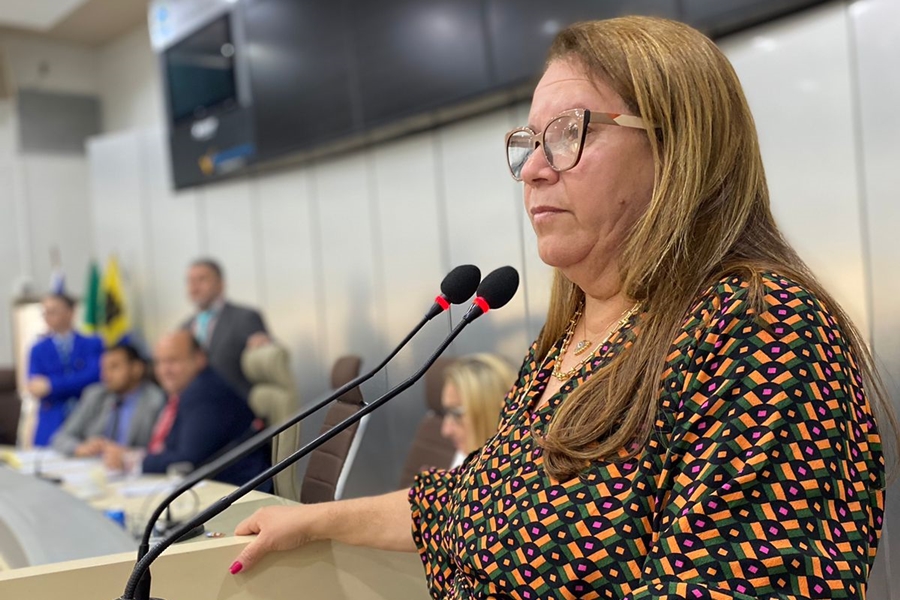 ELLIS REGINA: Vereadora realiza reunião para discutir projeto que revoga área doada ao IPAM