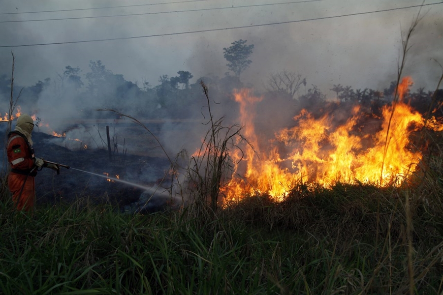 MEIO AMBIENTE: Rondônia registra queda de 72,6% nas ocorrências de incêndios florestais
