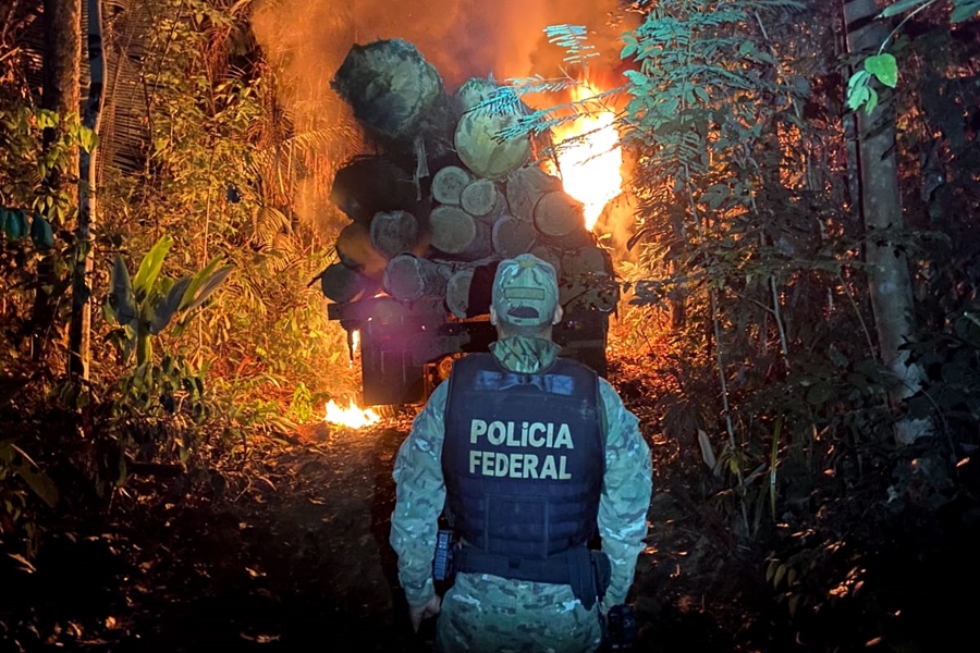 TERRA INDÍGENA: PF incendeia veículos e acampamentos de acusados de extração ilegal