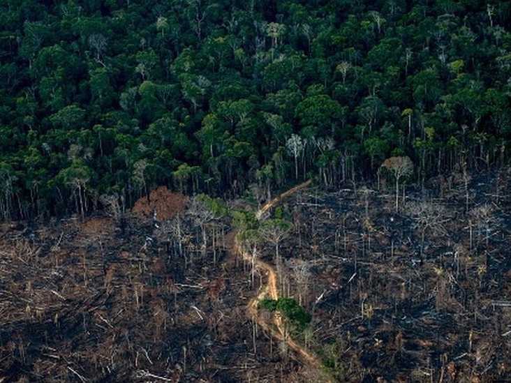 BOA NOTÍCIA: INPE diz que alertas de desmatamento na Amazônia caem 66% em agosto