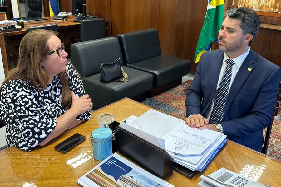 ELLIS REGINA: Vereadora acompanha votação da PEC da Transposição, em Brasília