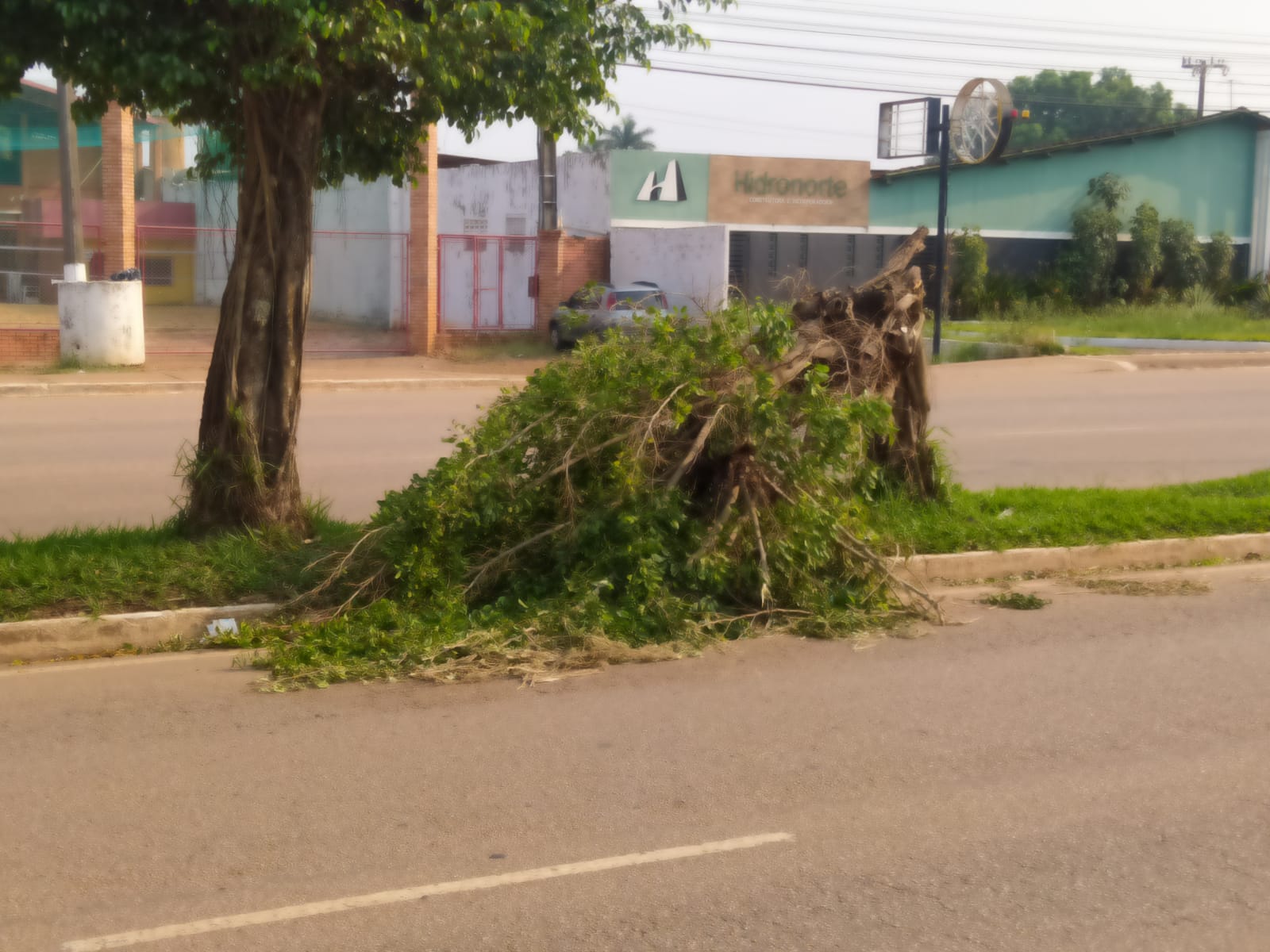 CENAS DA CIDADE: Árvore caída há três dias causa transtornos em Porto Velho