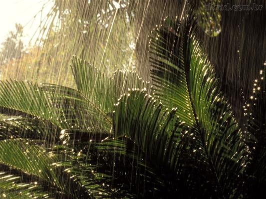 JUNTO E MISTURADO: Sol e chuvas no domingão (10) em Rondônia, inclusive em Cabixi