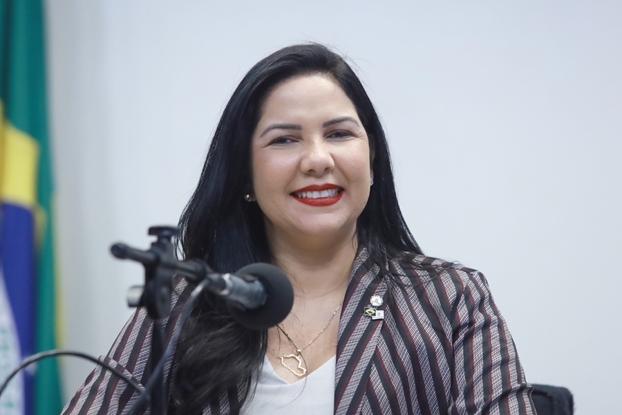 CRISTIANE LOPES: Deputada participa da primeira edição do Programa Intercâmbio Legislativo em Brasília