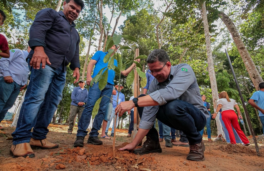 MEIO AMBIENTE: Desmatamento em RO cai 64% na gestão do Governador Marcos Rocha