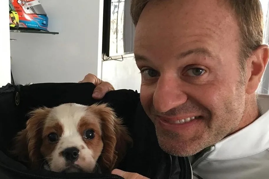 TRÁGICO: Cachorro de Barrichello morre após ingerir 11 bitucas de cigarro; piloto reage