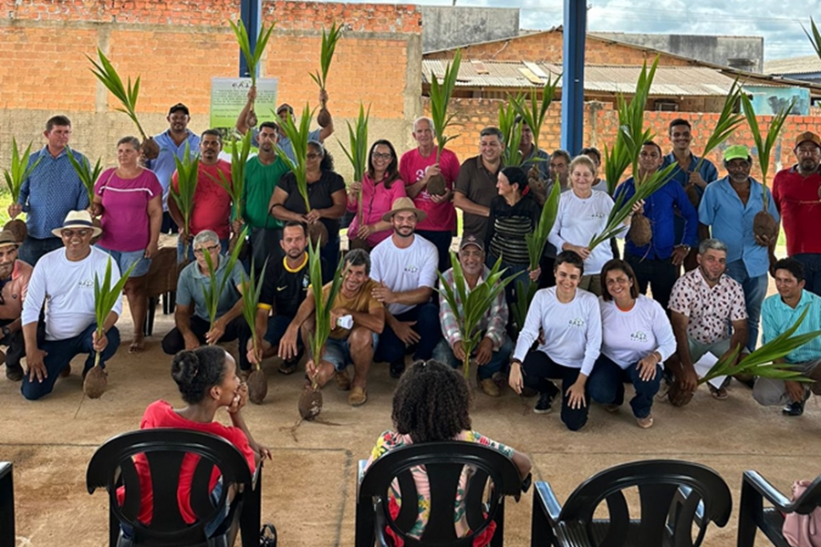 ROSANGELA DONADON: Deputada entrega mais de 7 mil mudas de coco para agricultores em Alto Paraíso