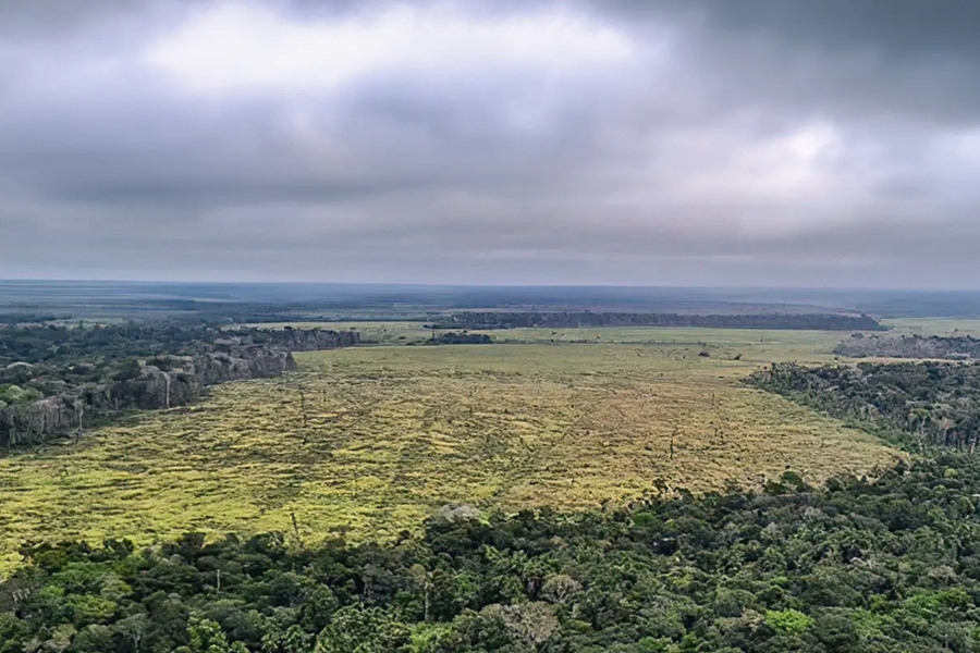 FLORESTA: Prorrogada adesão a programa de combate ao desmatamento na Amazônia