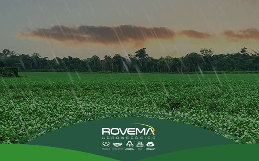 ROVEMA: Impactos que a mudança no regime hídrico ocasionou na produção agrícola
