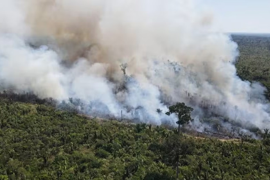 LUTA: Incêndio no Parque Guajará-Mirim dura 19 dias, indica Prevfogo