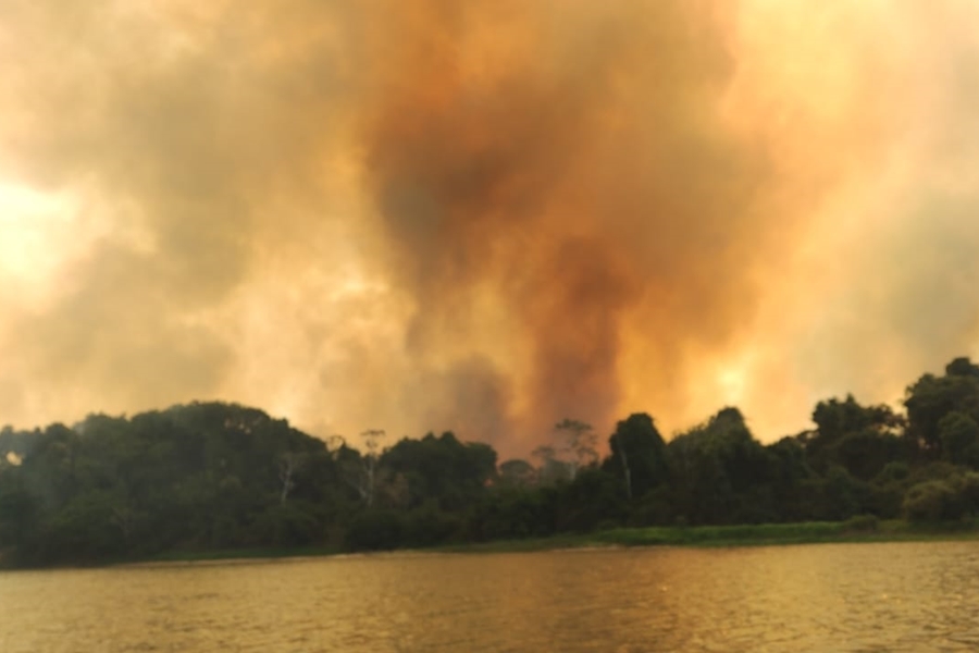 DESESPERO: Incêndio florestal na Bolívia atinge lado brasileiro e ameaça pousadas 