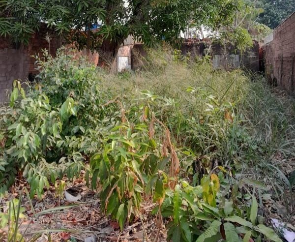 PEDIDO DE PROVIDÊNCIA: Moradores da zona Leste pedem ação urgente para terreno abandonado