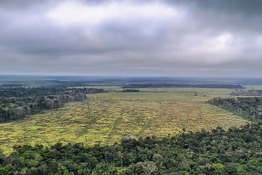 DEVASTAÇÃO: De 1985 a 2023 a Amazônia já perdeu 55 milhões de hectares de florestas