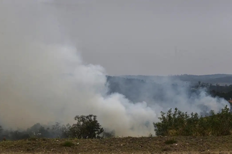 CRIMINOSOS: 99,9% dos incêndios no país são frutos de ação humana, diz Defesa Civil
