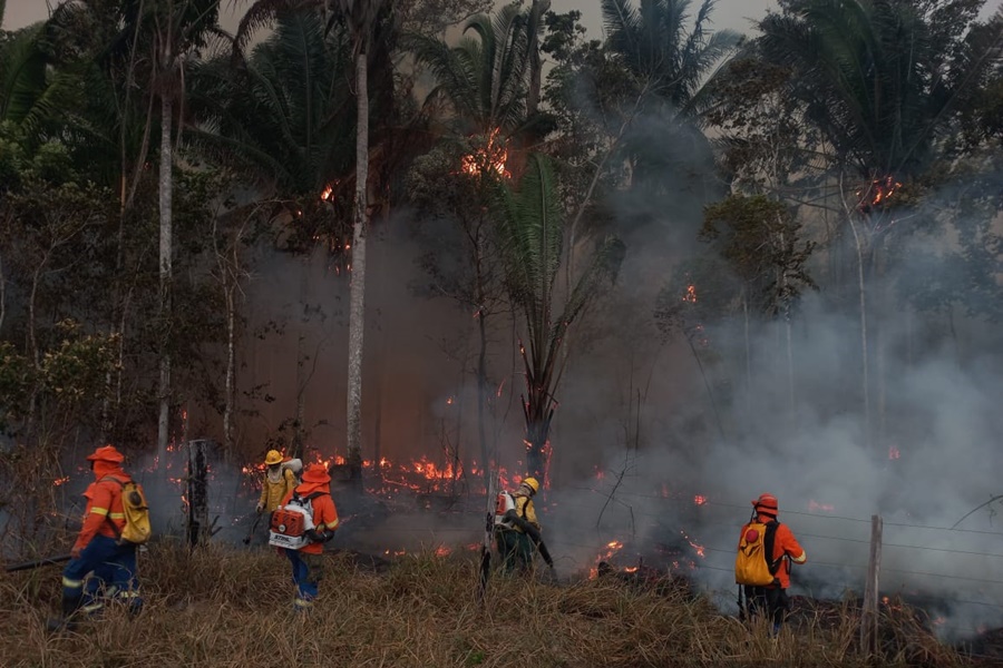 QUEIMADAS: Reforço conjunto elimina grandes focos de incêndios criminosos em RO