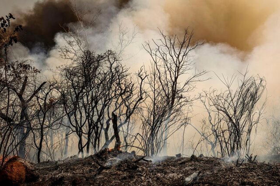 SECA: Lula anuncia criação da Autoridade Climática em meio ao avanço de queimadas 