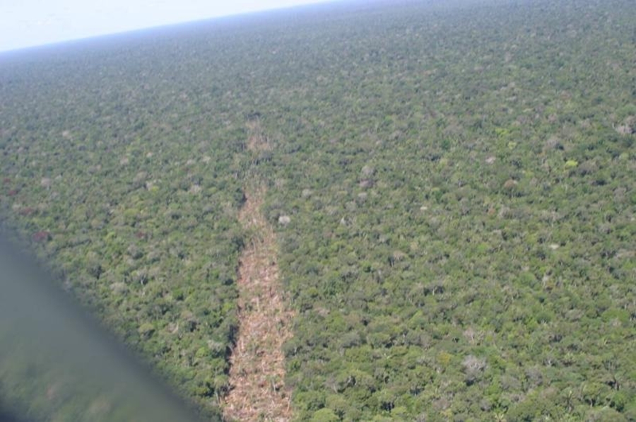 JUSTIÇA: Governo entra com primeira ação por danos climáticos contra a Amazônia