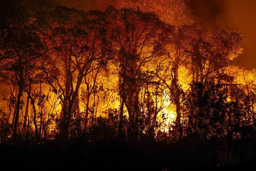 QUEIMADAS: Senadores apresentam projetos para agravar penas em crimes de incêndio  